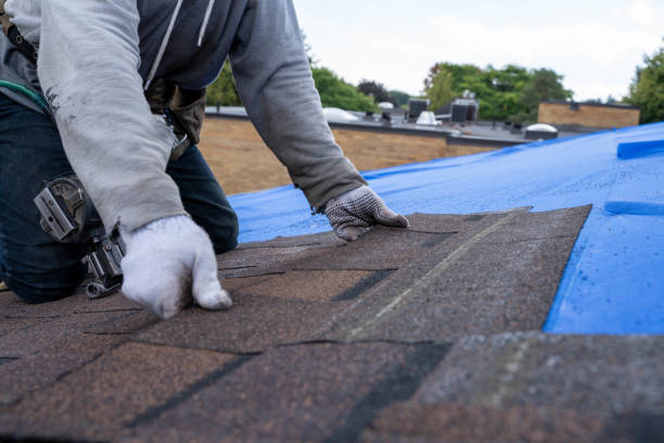 Best Roof Replacement Cost  in Charlevoix, MI