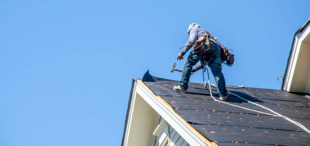 Best Best Roofing Contractors  in Charlevoix, MI